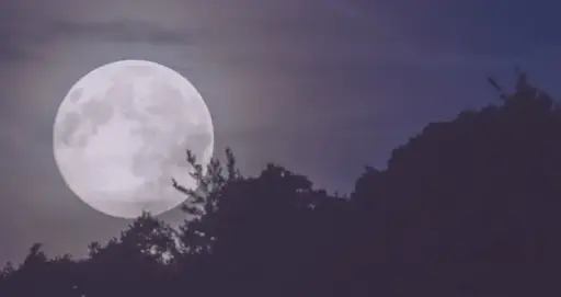 Moon Meditations Subscription