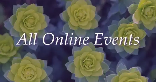 All Online Events Subscription